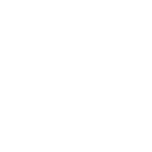 The Pak